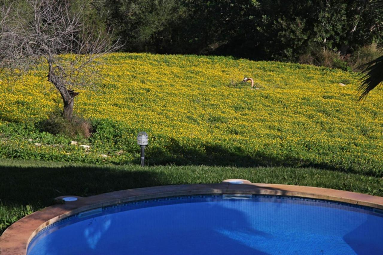 Petit Holiday home Petra (Mallorca)